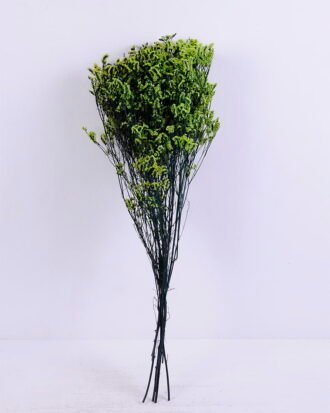 Dried Flowers 21*72CM Love grass, 100g/bag, H:60-70cm/pc GS-56620019-G1
