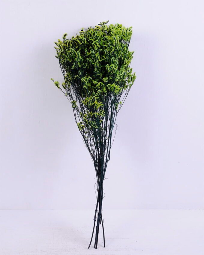 Dried Flowers 21*72CM Love grass, 100g/bag, H:60-70cm/pc GS-56620019-G1