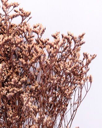 Dried Flowers 21*72CM Love grass, 100g/bag, H:60-70cm/pc GS-56620019-K1