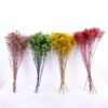 Dried Flowers 21*72CM Love grass, 100g/bag, H:60-70cm/pc GS-56620019-Y1
