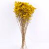 Dried Flowers 21*72CM Love grass, 100g/bag, H:60-70cm/pc GS-56620019-Y1