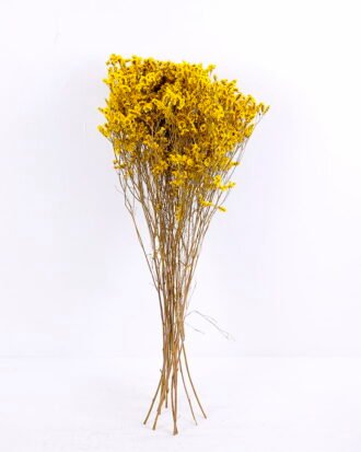 Dried Flowers 21*72CM Love grass, 100g/bag, H:60-70cm/pc GS-56620019-Y1