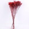 Dried Flowers 21*72CM Love grass, 100g/bag, H:60-70cm/pc GS-56620019-Y1