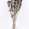 Dried Flowers 13*46CM Mini rose,10pcs/bag, H:40-50cm/pc GS-56620014-R1