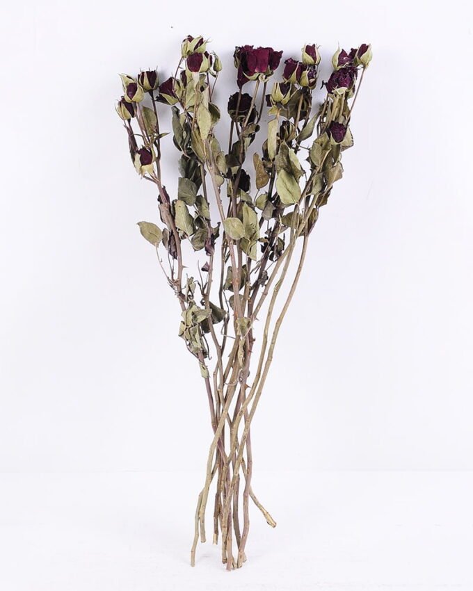 Dried Flowers 13*46CM Mini rose,10pcs/bag, H:40-50cm/pc GS-56620014-R1