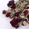 Dried Flowers 13*46CM Mini rose,10pcs/bag, H:40-50cm/pc GS-56620014-R1