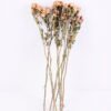 Dried Flowers 13*46CM Mini rose,10pcs/bag, H:40-50cm/pc GS-56620014-Y1