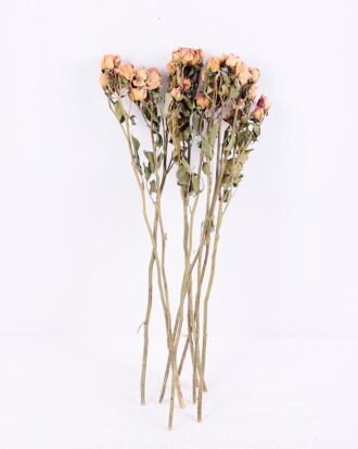 Dried Flowers 13*46CM Mini rose,10pcs/bag, H:40-50cm/pc GS-56620014-Y1