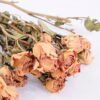 Dried Flowers 13*46CM Mini rose,10pcs/bag, H:40-50cm/pc GS-56620014-Y1