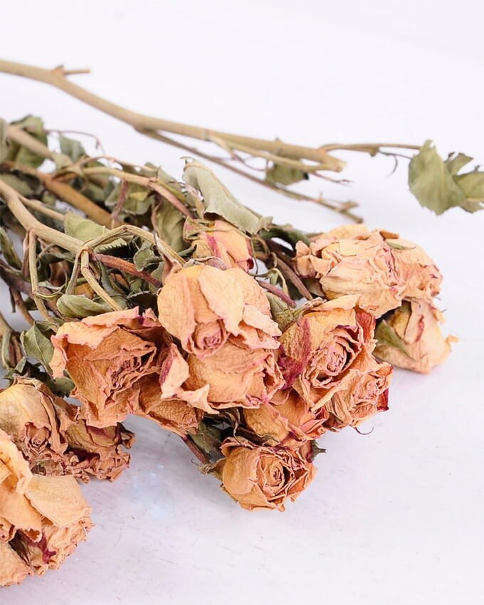 Dried Flowers 13*46CM Mini rose,10pcs/bag, H:40-50cm/pc GS-56620014-Y1