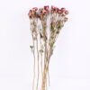 Dried Flowers 13*46CM Mini rose,10pcs/bag, H:40-50cm/pc GS-56620014-Z1