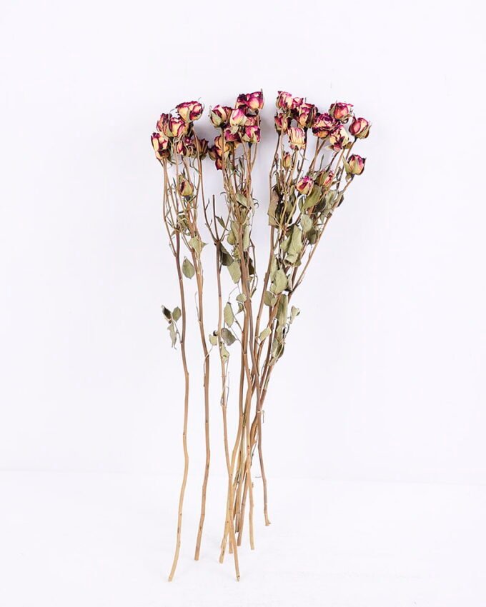 Dried Flowers 13*46CM Mini rose,10pcs/bag, H:40-50cm/pc GS-56620014-Z1