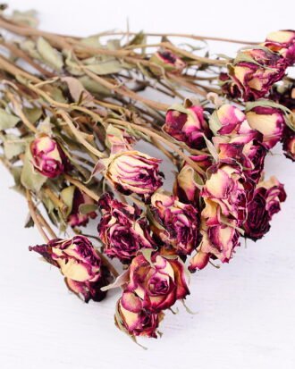 Dried Flowers 13*46CM Mini rose,10pcs/bag, H:40-50cm/pc GS-56620014-Z1