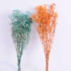 Dried Flowers 17*62cm Preserved Gypsophila Bouquet GS-56620032