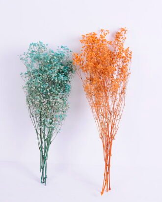 Dried Flowers 17*62cm Preserved Gypsophila Bouquet GS-56620032