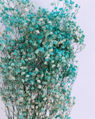 Dried Flowers 17*62cm Preserved Gypsophila Bouquet GS-56620032