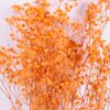 Dried Flowers 17*62cm Preserved Gypsophila Bouquet GS-56620032