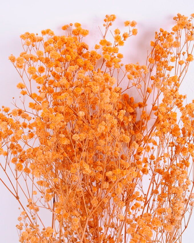 Dried Flowers 17*62cm Preserved Gypsophila Bouquet GS-56620032