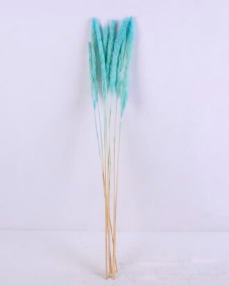 Dried Flowers 17*83CM Reed, 8pcs/bag, H:85-90cm/pc GS-56620017-B1