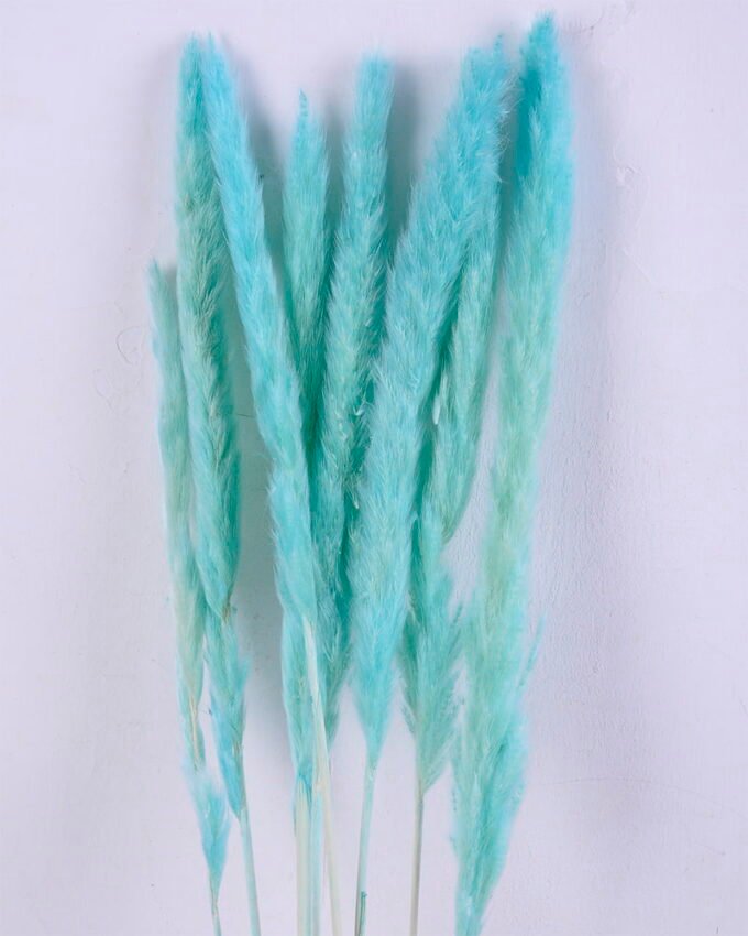 Dried Flowers 17*83CM Reed, 8pcs/bag, H:85-90cm/pc GS-56620017-B1