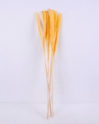 Dried Flowers 17*83CM Reed, 8pcs/bag, H:85-90cm/pc GS-56620017-Y1