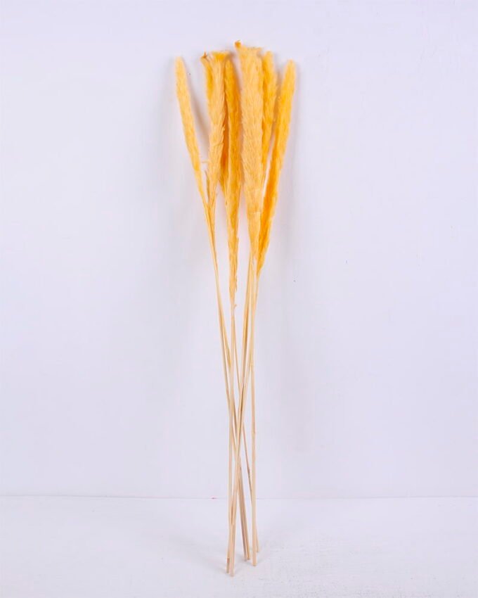 Dried Flowers 17*83CM Reed, 8pcs/bag, H:85-90cm/pc GS-56620017-Y1