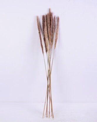 Dried Flowers 17*83CM Reed, 8pcs/bag, H:85-90cm/pc GS-56620017-Y1