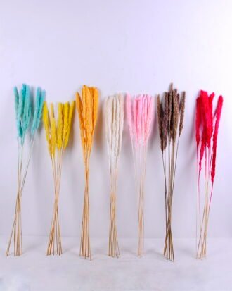 Dried Flowers 17*83CM Reed, 8pcs/bag, H:85-90cm/pc GS-56620017