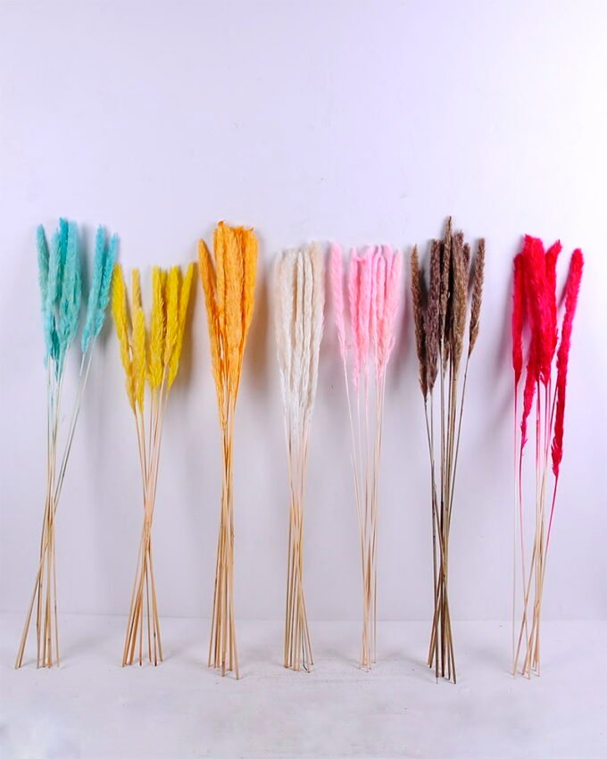 Dried Flowers 17*83CM Reed, 8pcs/bag, H:85-90cm/pc GS-56620017