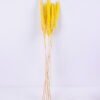 Dried Flowers 17*83CM Reed, 8pcs/bag, H:85-90cm/pc GS-56620017