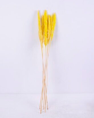 Dried Flowers 17*83CM Reed, 8pcs/bag, H:85-90cm/pc GS-56620017