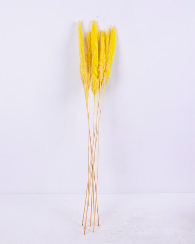 Dried Flowers 17*83CM Reed, 8pcs/bag, H:85-90cm/pc GS-56620017