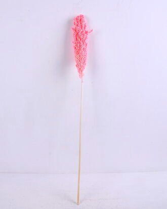 Dried Flowers 5*70CM Sorghum, H:65-75cm/pc GS-56620016-P1