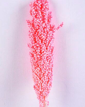 Dried Flowers 5*70CM Sorghum, H:65-75cm/pc GS-56620016-P1