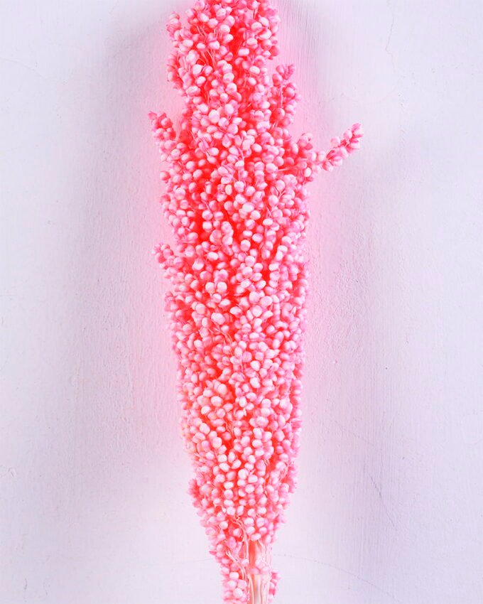 Dried Flowers 5*70CM Sorghum, H:65-75cm/pc GS-56620016-P1