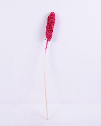 Dried Flowers 5*70CM Sorghum, H:65-75cm/pc GS-56620016-R1