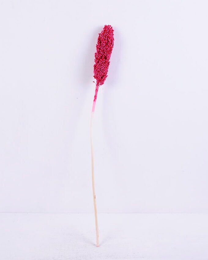 Dried Flowers 5*70CM Sorghum, H:65-75cm/pc GS-56620016-R1