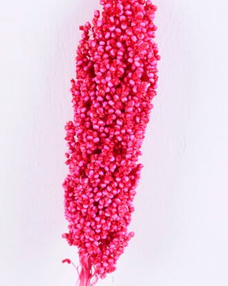 Dried Flowers 5*70CM Sorghum, H:65-75cm/pc GS-56620016-R1