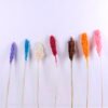 Dried Flowers 5*70CM Sorghum, H:65-75cm/pc GS-56620016