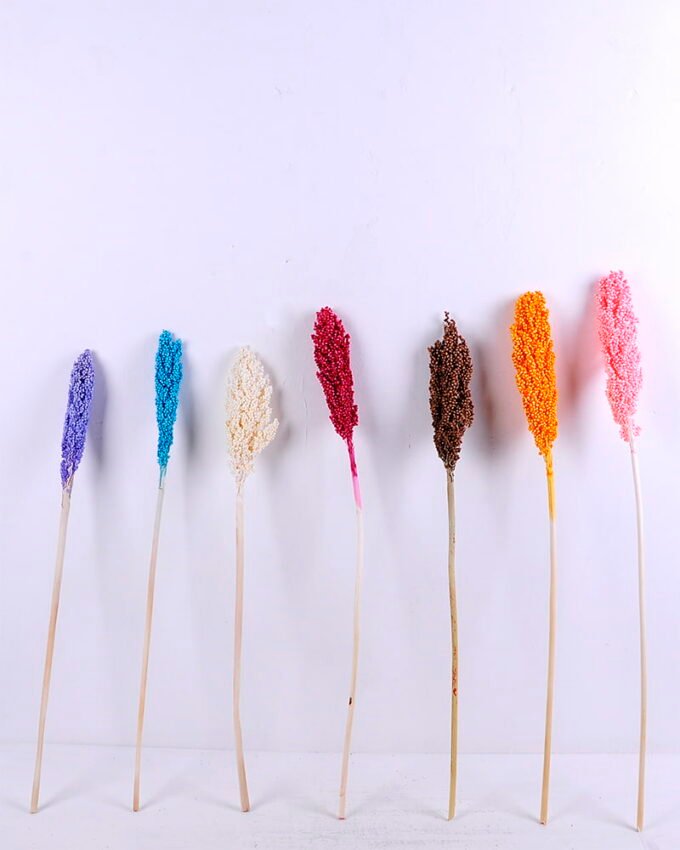 Dried Flowers 5*70CM Sorghum, H:65-75cm/pc GS-56620016