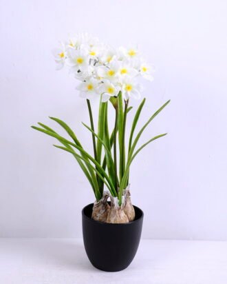 Artificial Flower 32X24X43.5cm Daffodil*3 in plastic pot GS-22220032 Potted Flowers&Plants YeahFlower is one of Chinese leading OEM manufacturers and exporters , supplying the silk flowers, wholesale artificial trees Artificial Flower 32X24X43.5cm Daffodil*3 in plastic pot GS-22220032