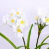 Artificial Flower 32X24X43 Artificial Flower 32X24X43.5cm Daffodil*3 in plastic pot GS-22220032