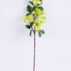 Artificial Flower 15*41CM Apple Blossoms Spray GS-58820013