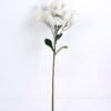 Artificial Flower 18*65CM Berry Spray GS-05520062-W1 1 Artificial Flower 18*65CM Berry Spray GS-05520062-W1