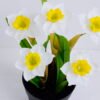 Artificial Flower 19*15*25.5cm Daffodil in plastic pot GS-03320093