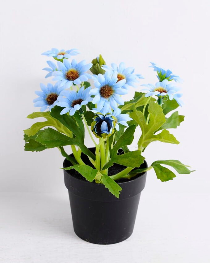 Artificial Flower 16*16*19CM Daisy in plastic pot GS-05520076-B1