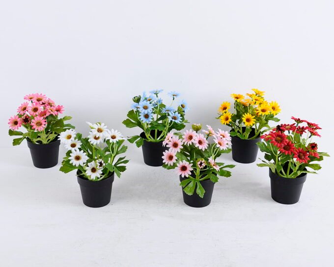 Artificial Flower 16*16*19CM Daisy in plastic pot GS-05520076-B1