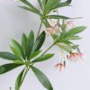 Artificial Flower 36*90CM Elaeocarpus hainanensis spray*2 GS-39120008-W1 1 Artificial Flower 36*90CM Elaeocarpus hainanensis spray*2 GS-39120008-W1