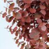 Artificial Flower 20*47CM Eucalyptus Bush*6 GS-54019063-R1