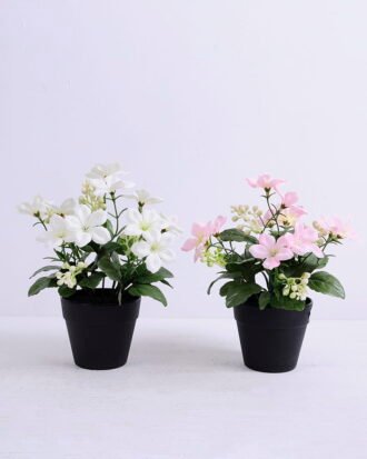 Artificial Flower 20*20*22cm Flowrs in Plastic pot GS-03320068 Potted Flowers&Plants YeahFlower is one of Chinese leading OEM manufacturers and exporters , supplying the silk flowers, wholesale artificial trees Artificial Flower 20*20*22cm Flowrs in Plastic pot GS-03320068